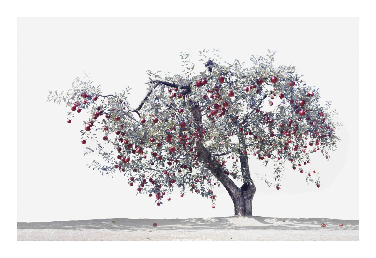 사과나무_1510X2200_pigment print_2013