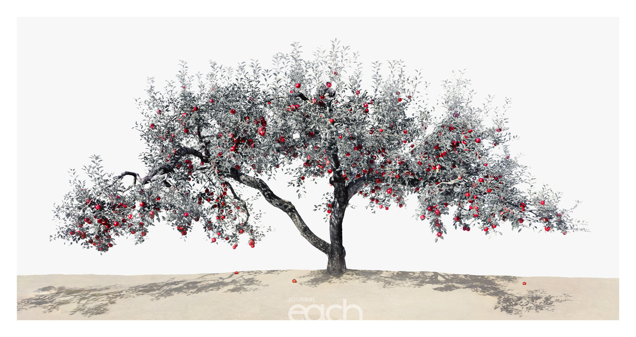 사과나무_2000x3770_Pigment Print_2018