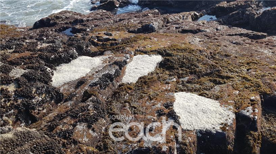 친환경 부착기질 설치현황