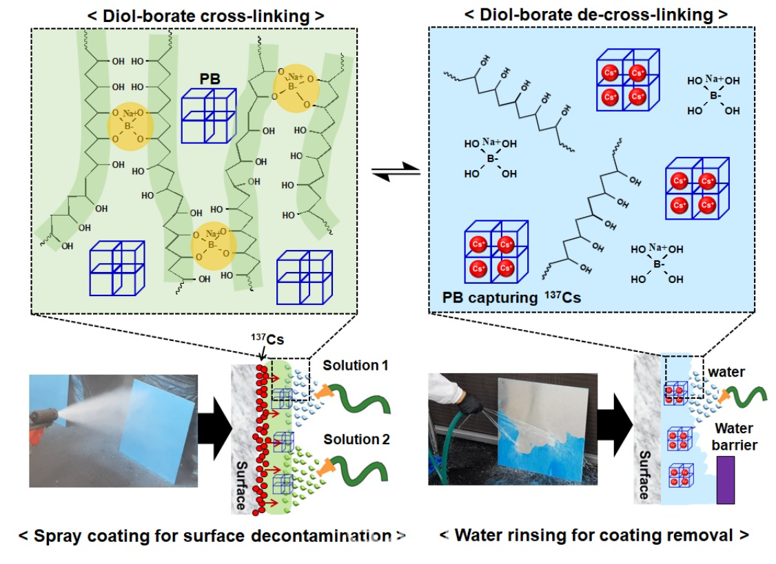 점착형 하이드로겔 기반 코팅제의 표면오염 제염 과정 (자료제공 - 원자력연구소)