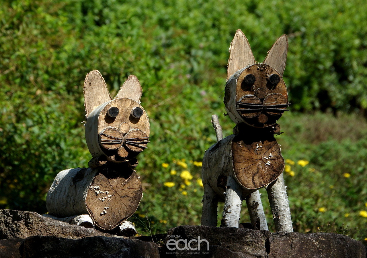 이미지제공 - 박미애 사진가