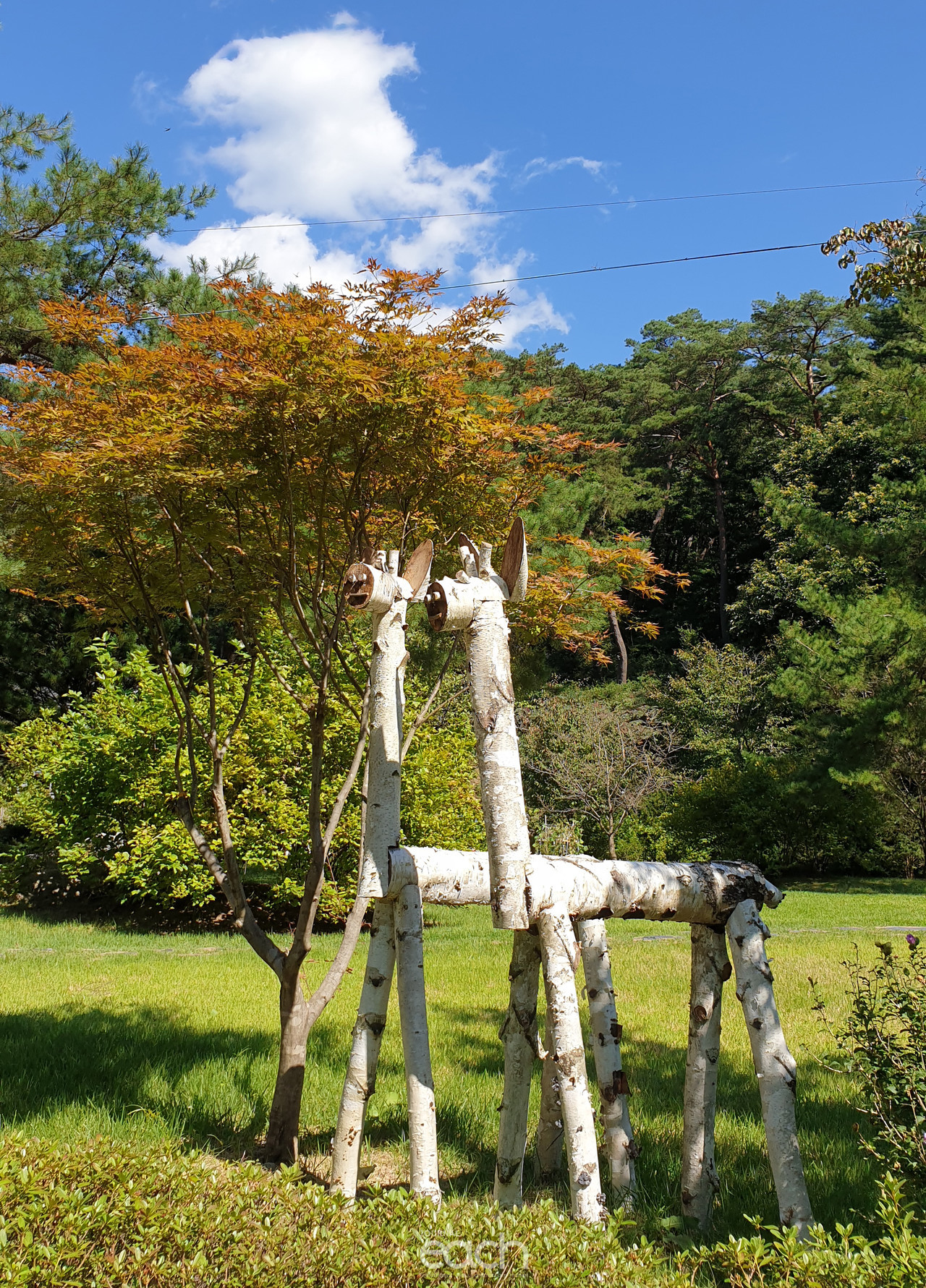 이미지제공 - 박미애 사진가