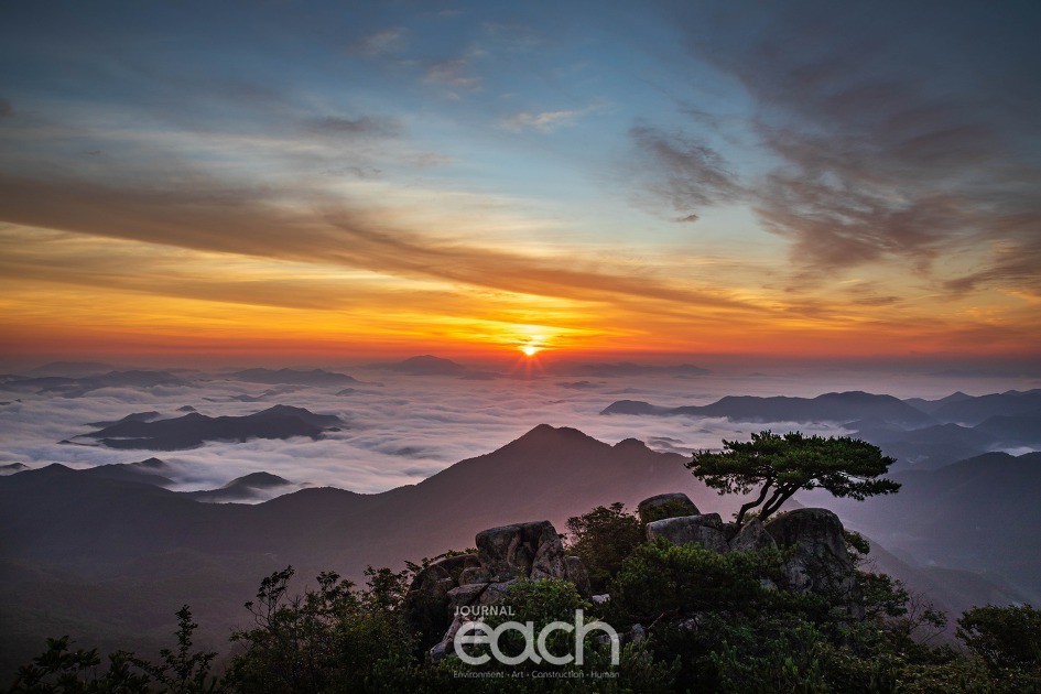 대둔산 소나무 포인트- 칼바위 능선에서 촬영하는 곳(독자제공)