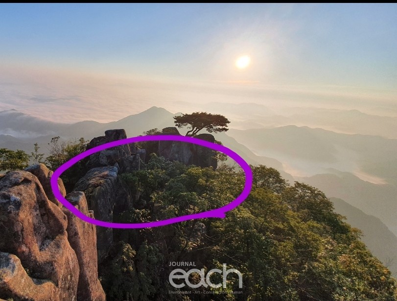 동그라미 부분이 훼손된 곳(제보자 제공)