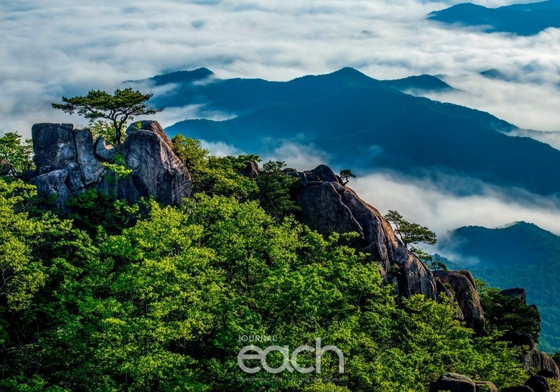 두 곳의 촬영 포인트(독자제공)