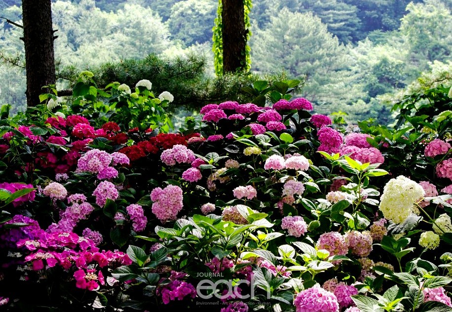 이미지제공 - 송시영 사진가