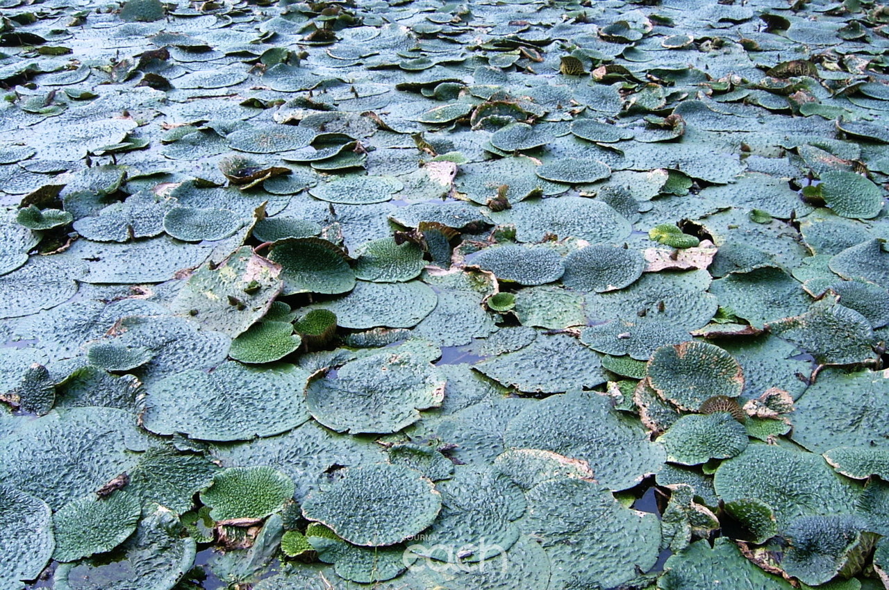 이미지제공 - 박미애 사진가