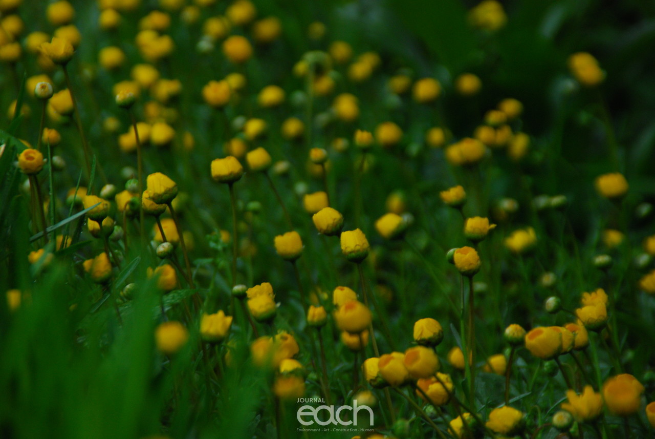 이미지제공 - 박미애 사진가