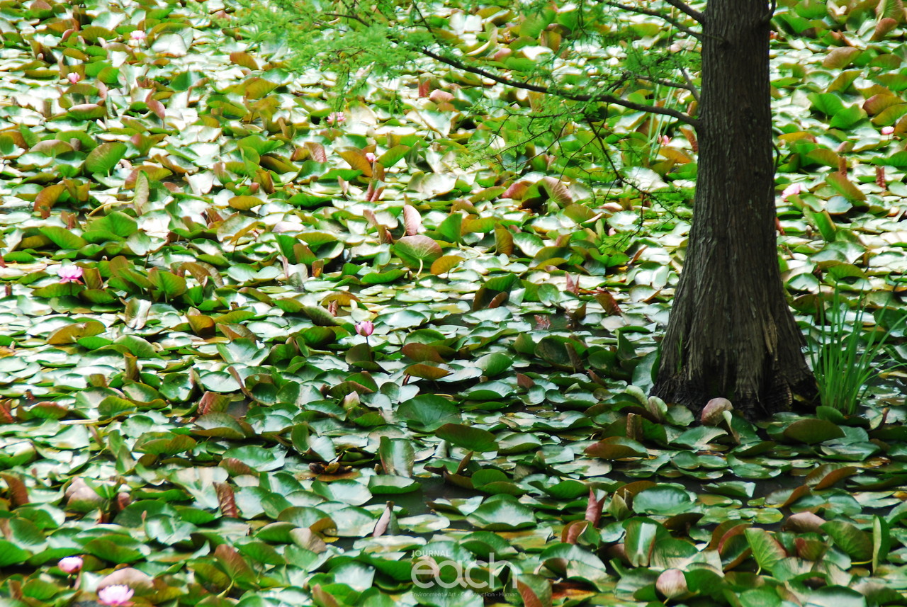 이미지제공 - 박미애 사진가