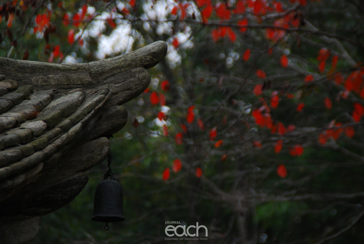 이미지제공 - 박미애 사진가