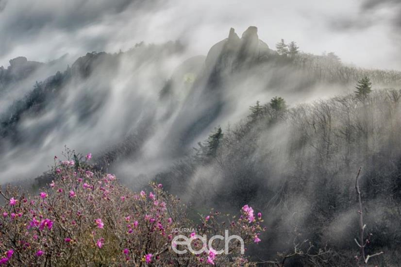 (이미지 제공 : 국립공원공단)