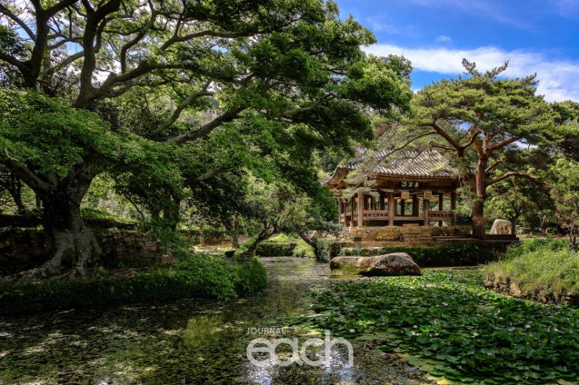 녹음속 세연정_신승희作 (다도해해상)(이미지 제공 : 국립공원공단)