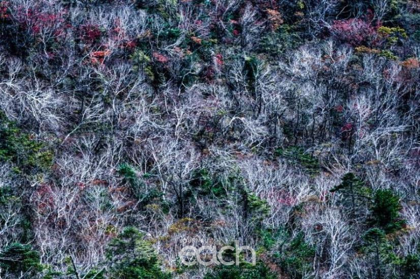 신록의 명멸_윤효원作 (지리산)(이미지 제공 : 국립공원공단)