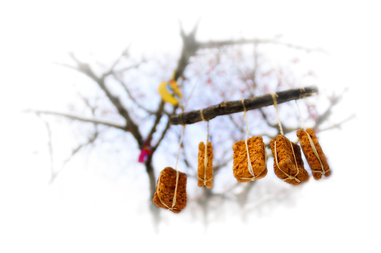 이미지제공 - 박미애 사진가