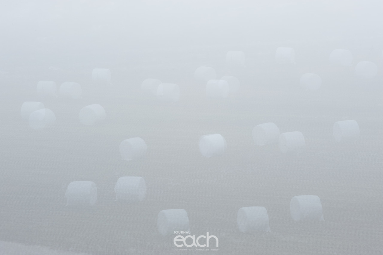 이미지제공 - 박미애 사진가