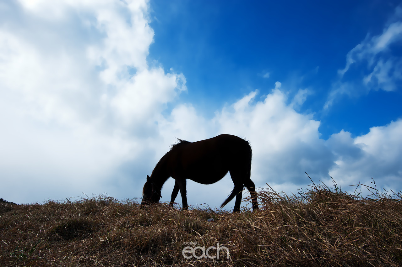 이미지제공 - 박미애 사진가