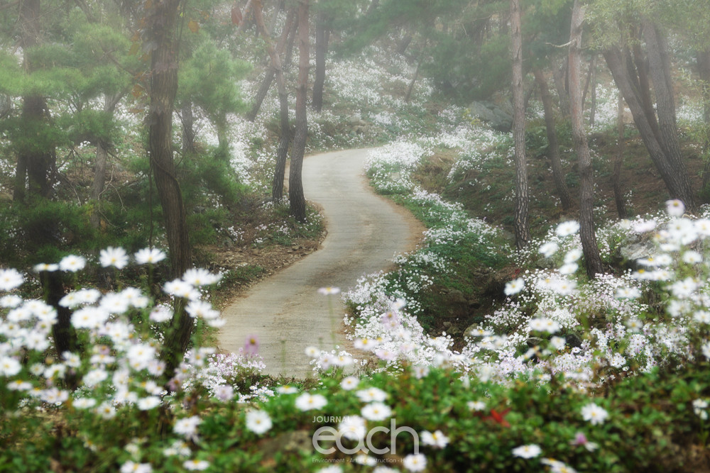 공주 구룡사 (촬영 - 박미애 사진가)