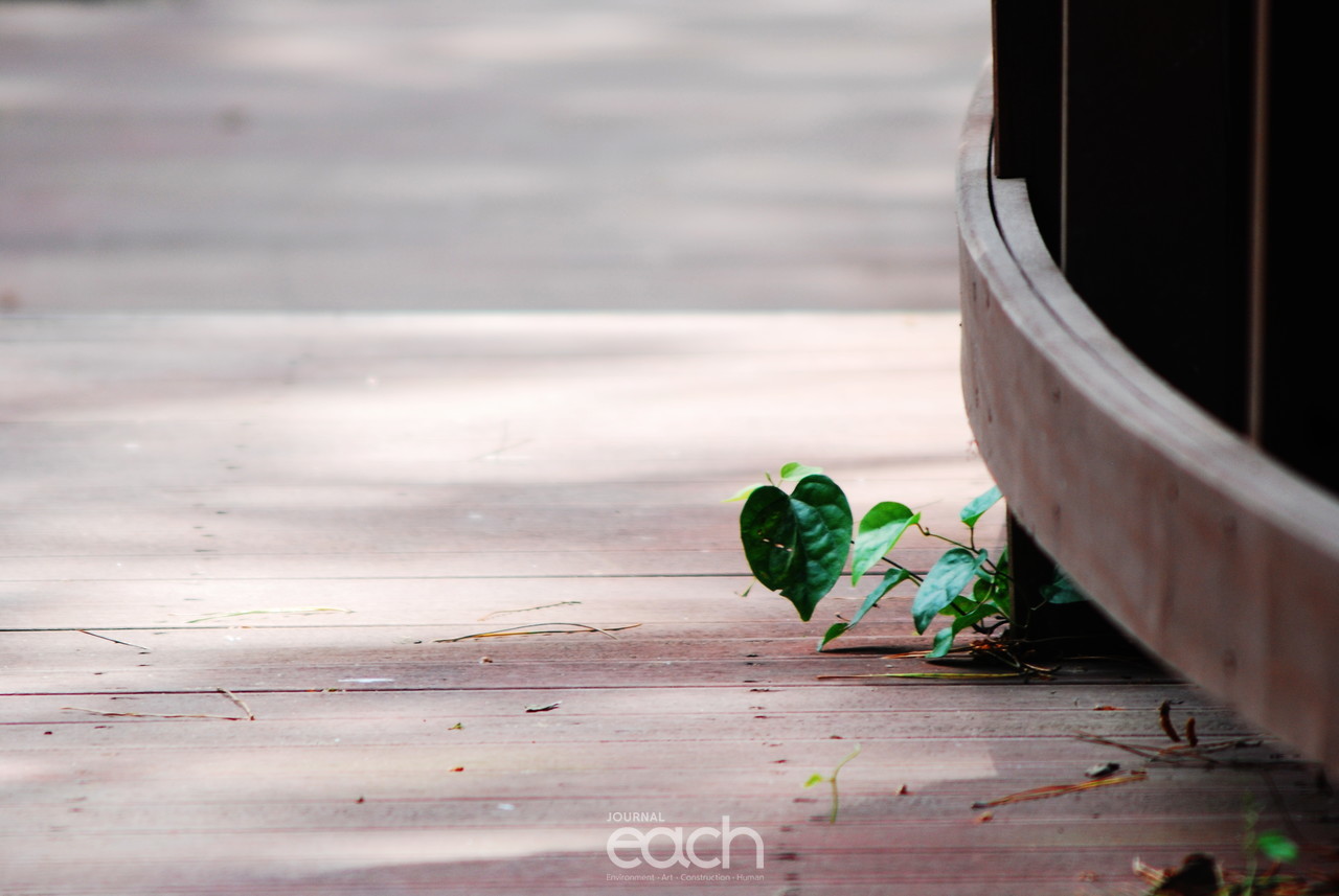 이미지제공 - 박미애 사진가