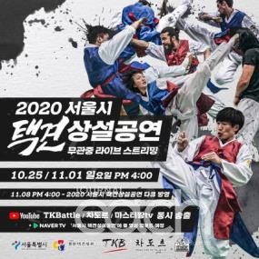 서울시 택견공연 포스터 (자료제공 : 서울특별시)