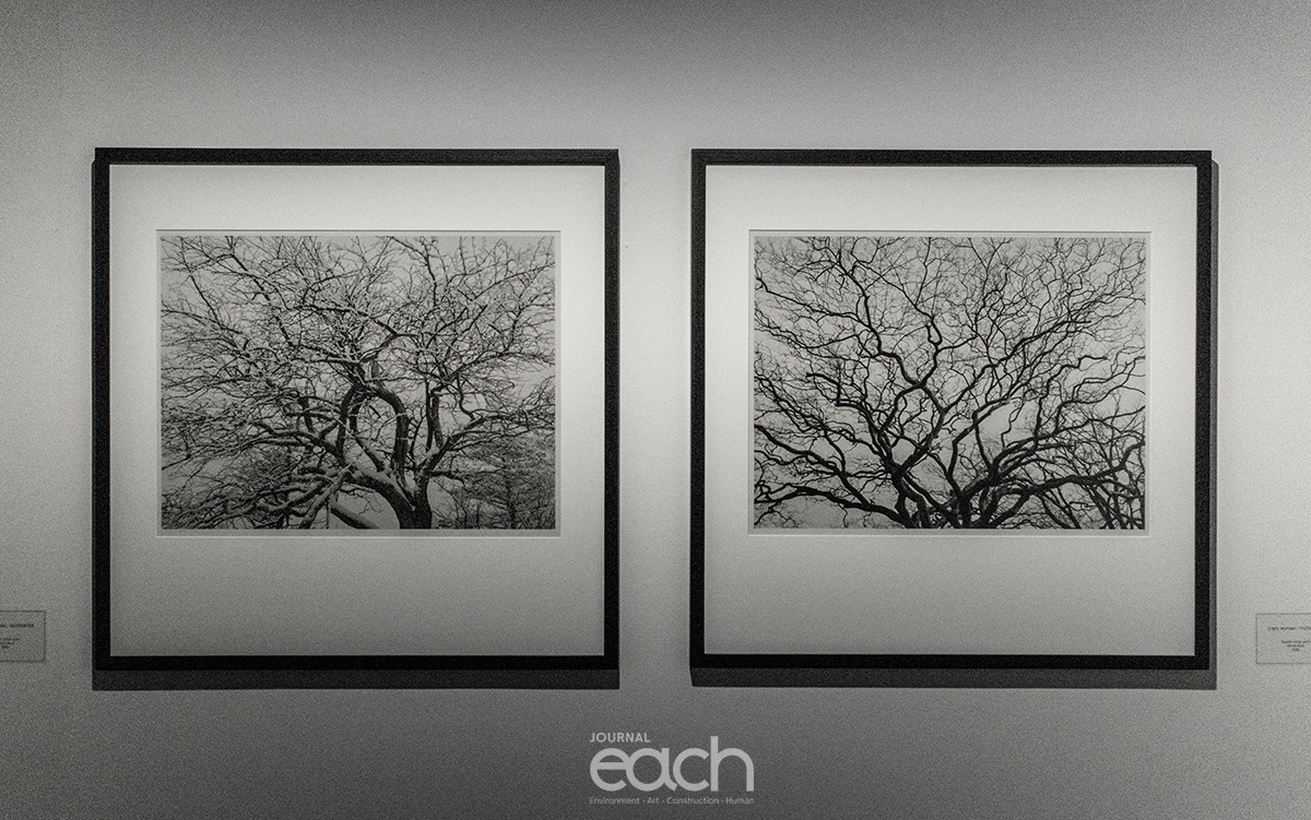 한미사진미술관 김대수 사진작가 개인전 '풍경사색'展 中(사진 : 최가람)