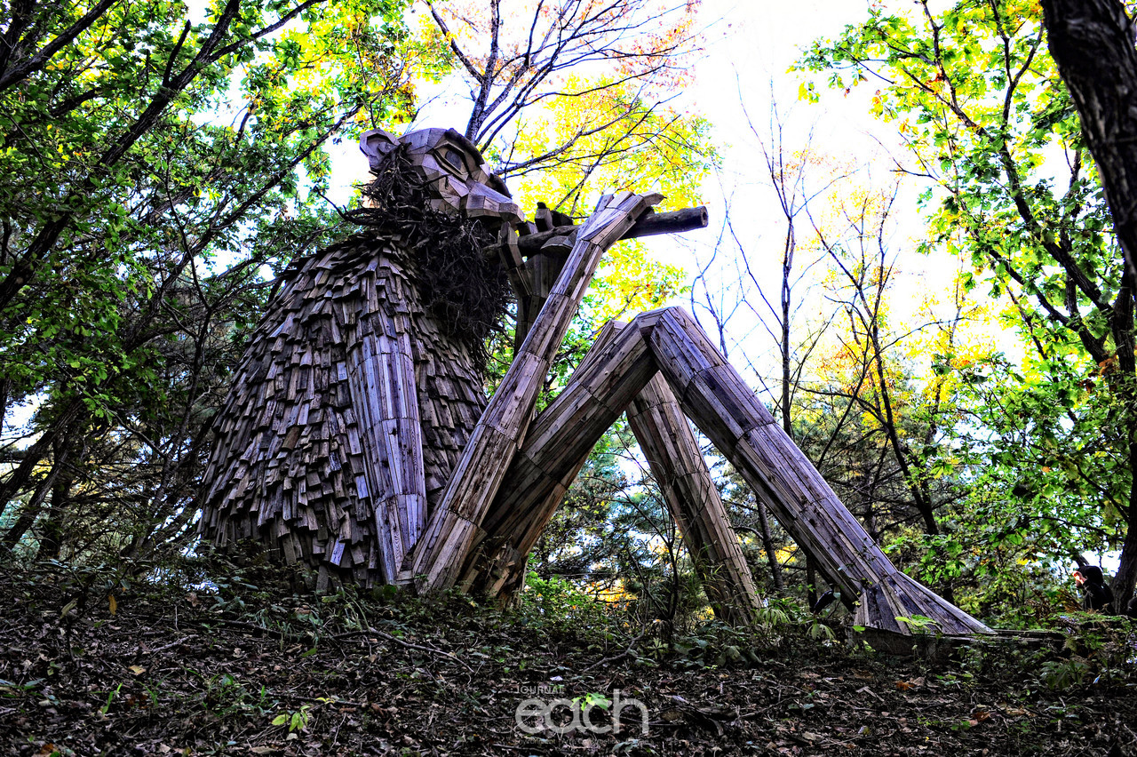 이미지제공 - 박미애 사진가