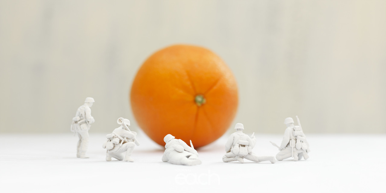 Romantic Soldiers #7 -Pigment Print 120X60cm 2011