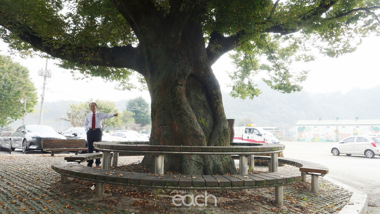 촬영 - 박미애 사진가