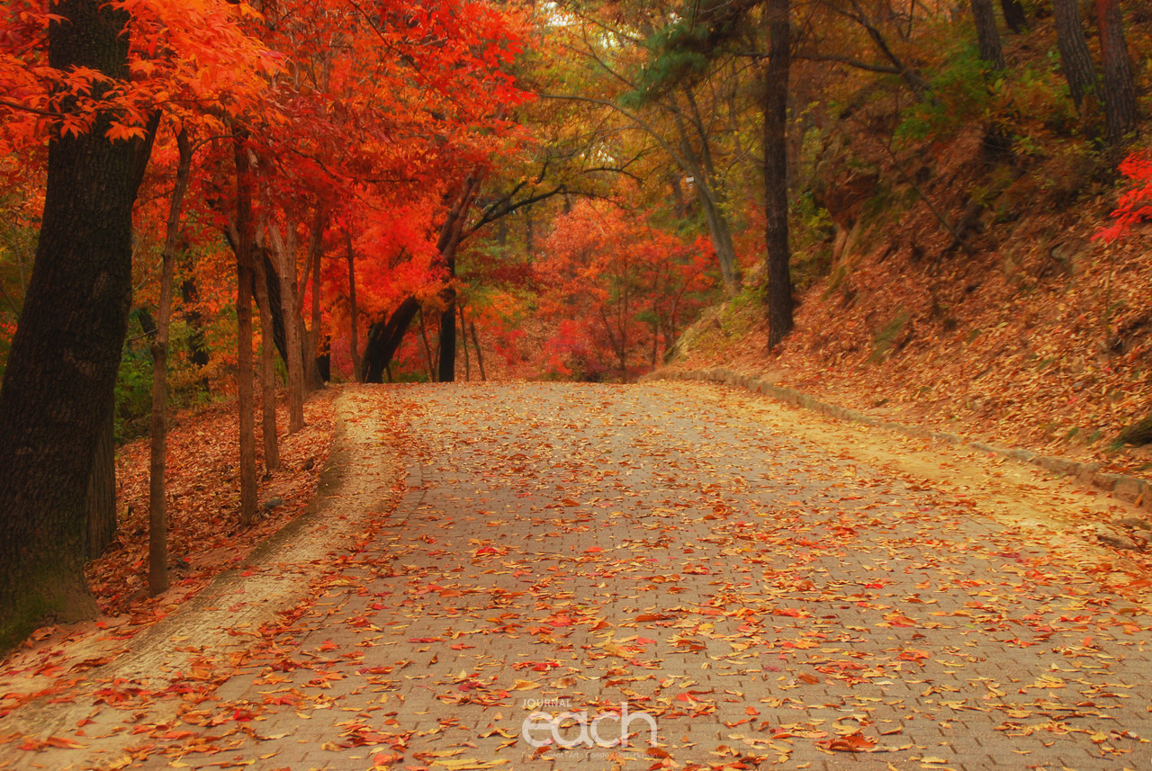 이미지제공 - 박미애 사진가