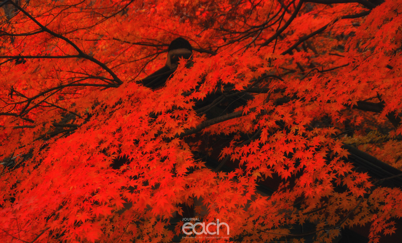 이미지제공 - 박미애 사진가