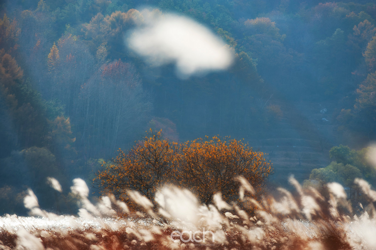 이미지제공 - 박미애 사진가