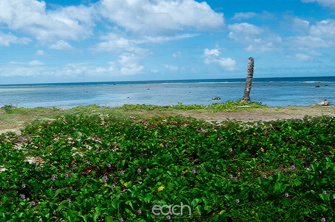 이미지제공 - 박미애 사진가