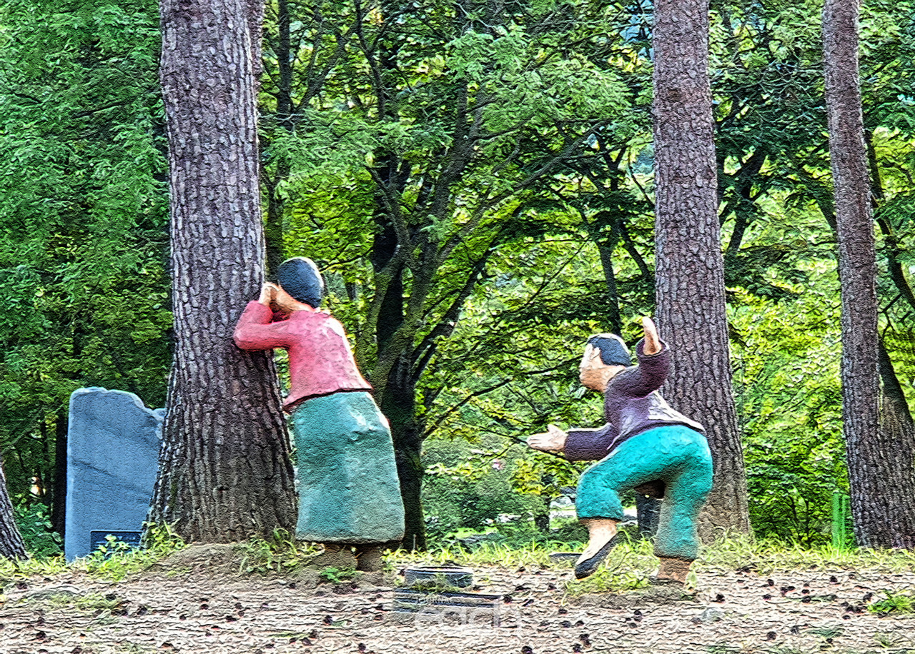 이미지제공 - 박미애 사진가