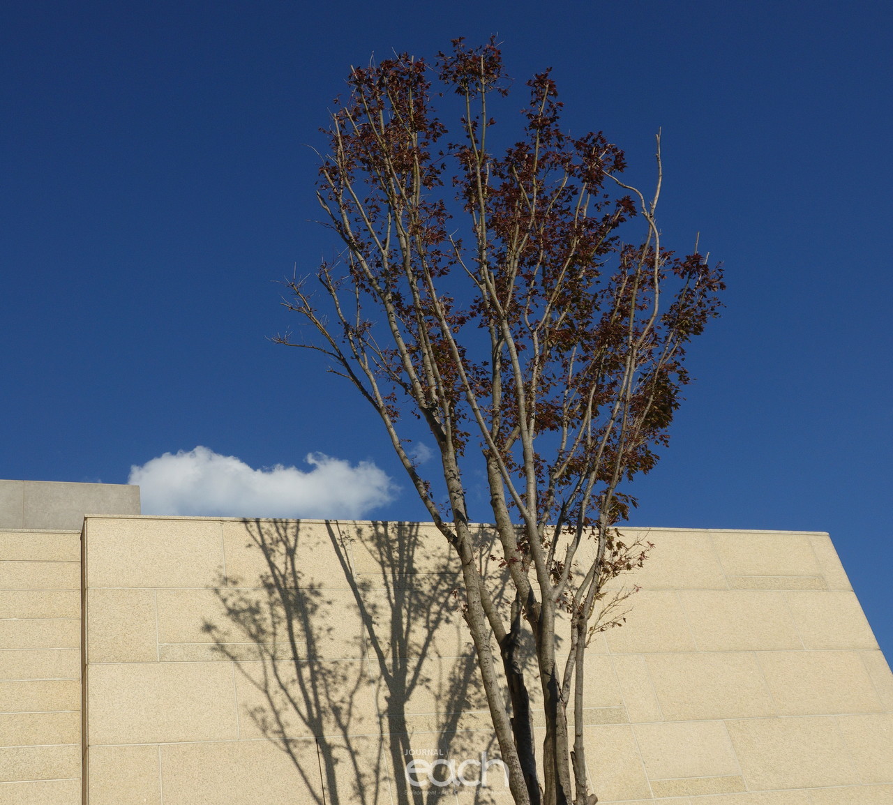 이미지제공 - 박미애 사진가