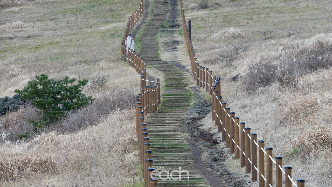 이미지제공 - 박미애 사진가