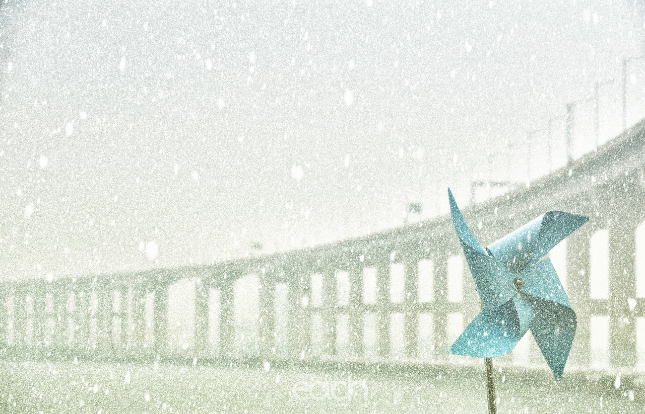 이미지제공 - 박미애 사진가