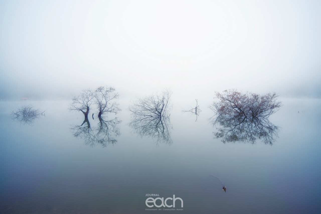 이미지 제공  -  박미애 사진가