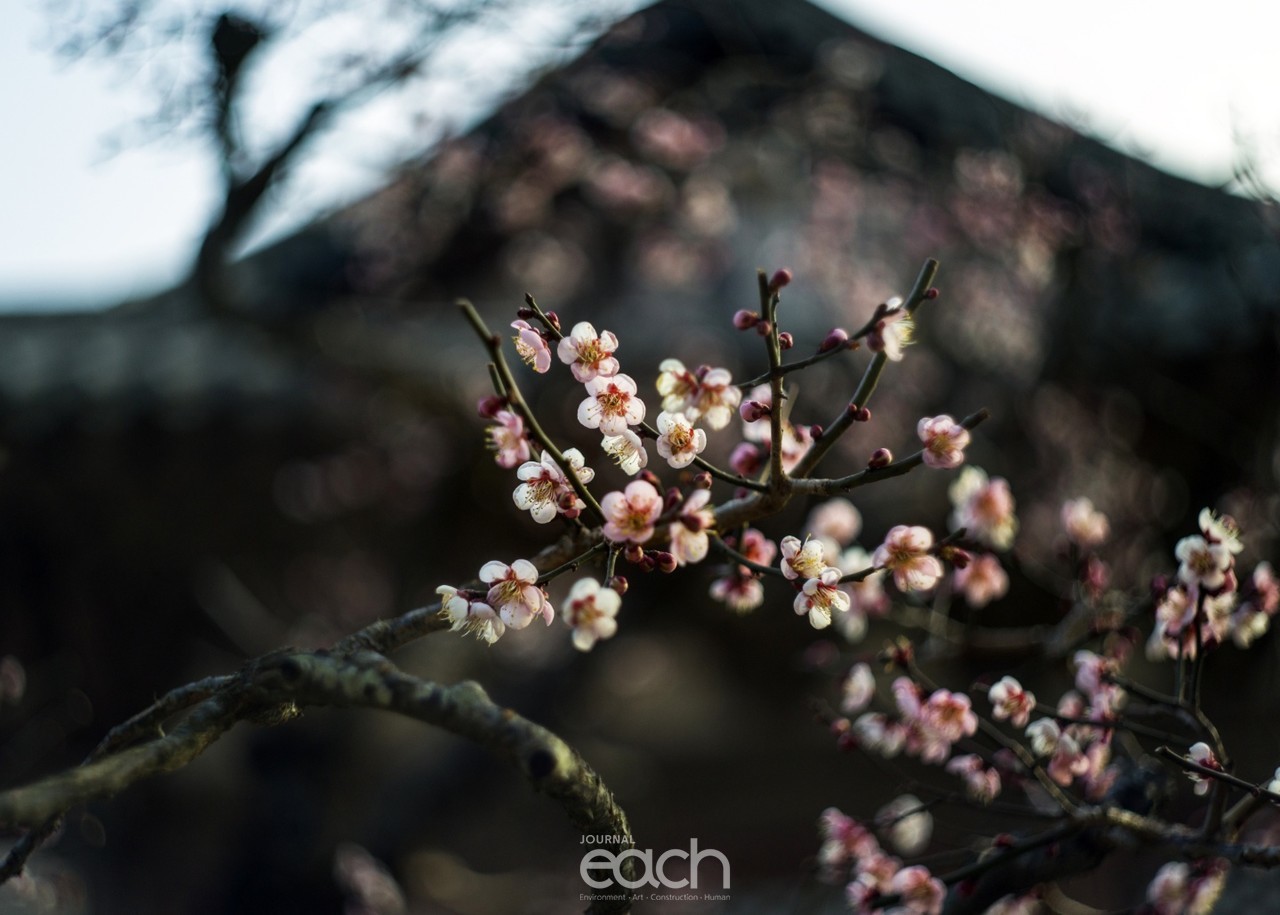 이미지 제공 - 류재력 사진가