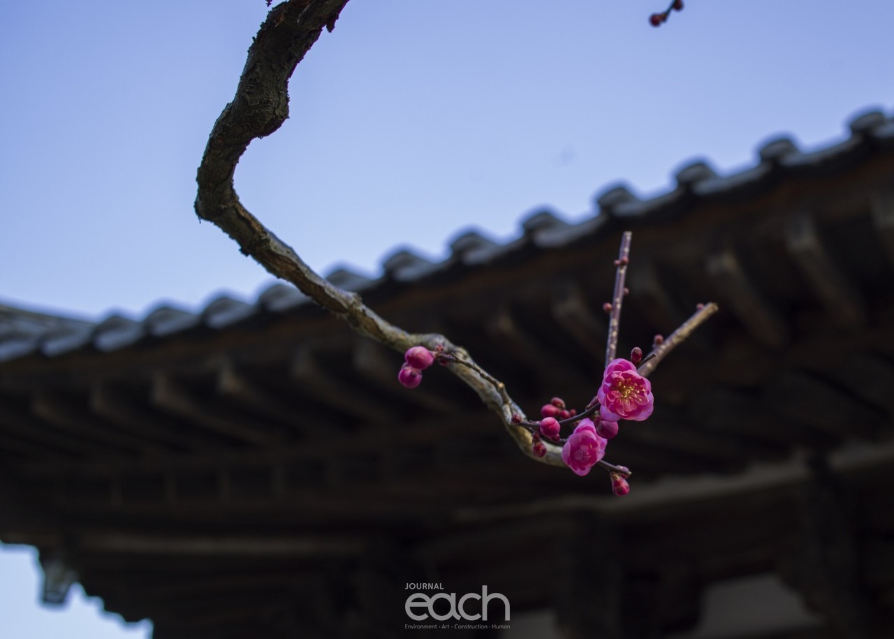 이미지 제공 - 유재력 사진가