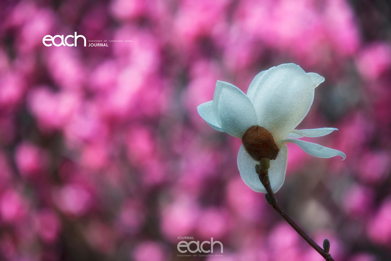 이미지 제공 - 박미애 사진가