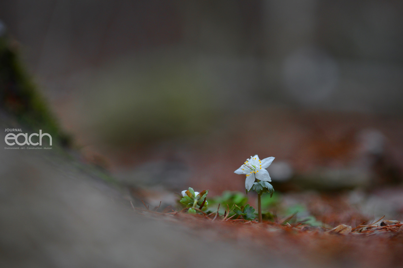 이미지 제공 - 박미애 사진가