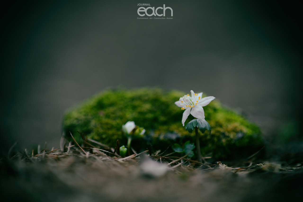 이미지 제공 - 박미애 사진가