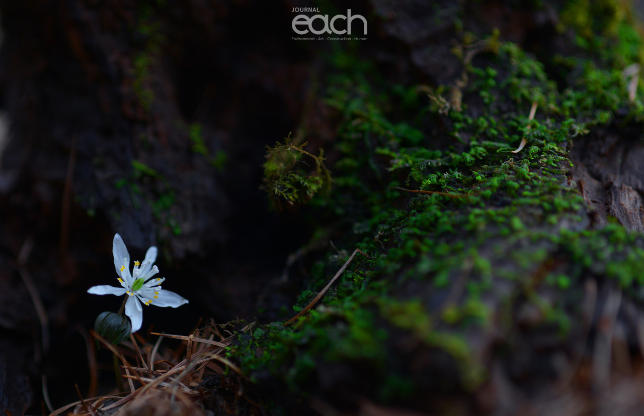 이미지 제공 - 박미애 사진가