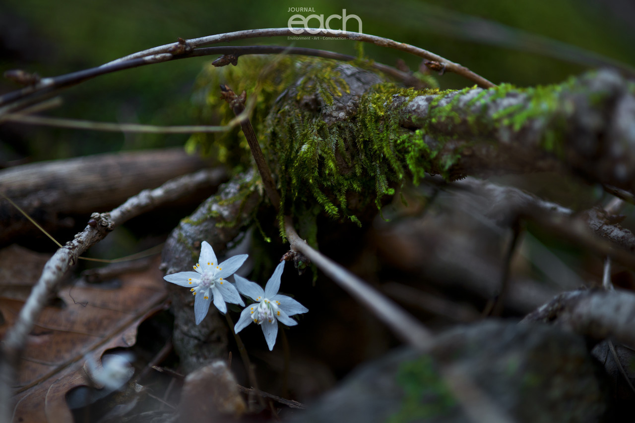 이미지 제공 - 박미애 사진가