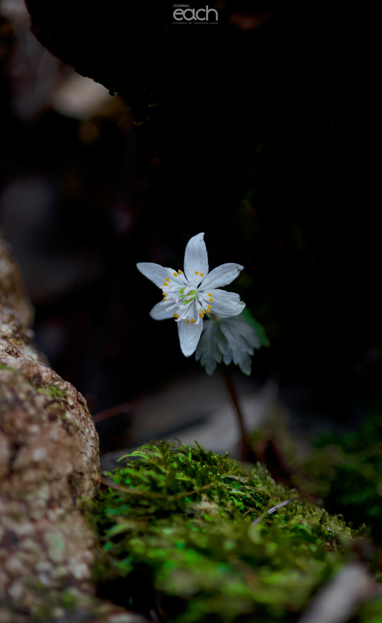 이미지 제공 - 박미애 사진가