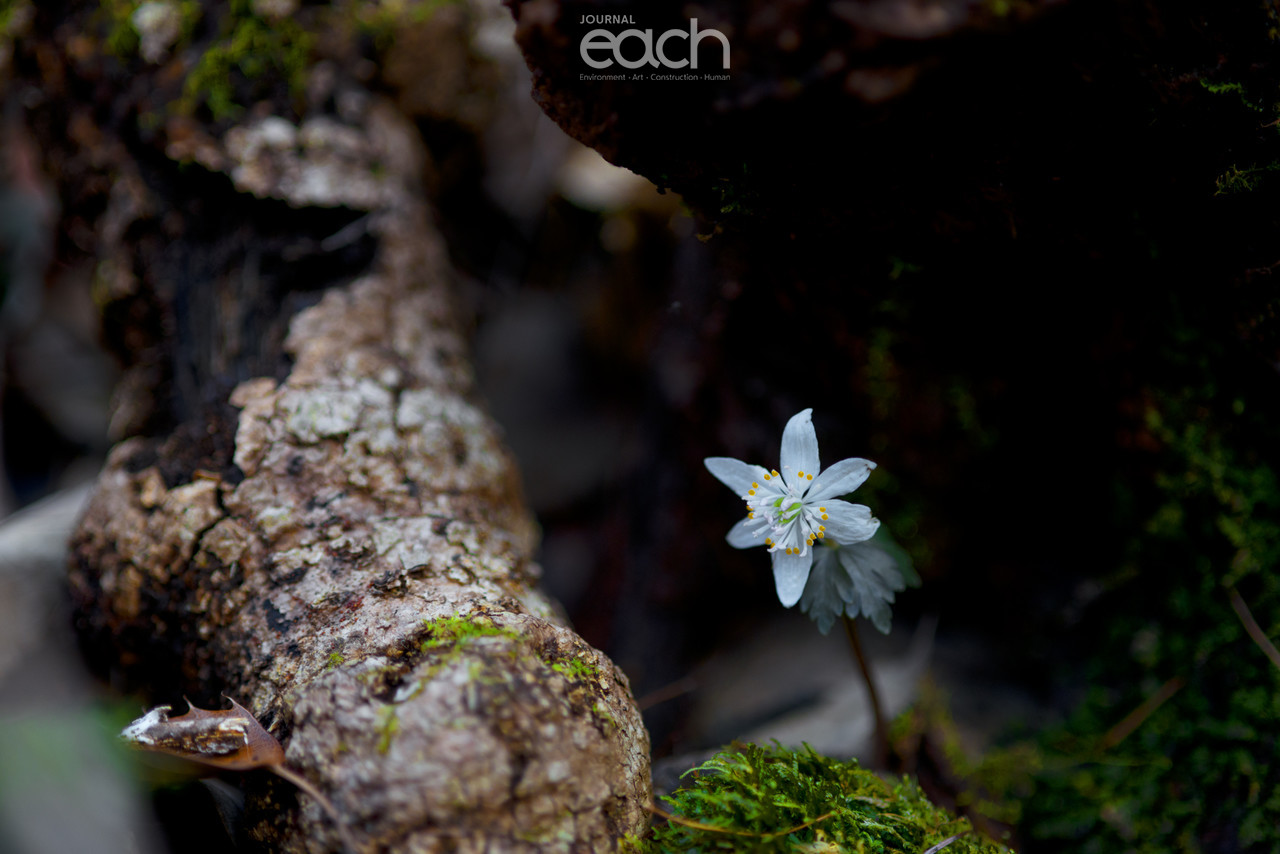 이미지 제공 - 박미애 사진가