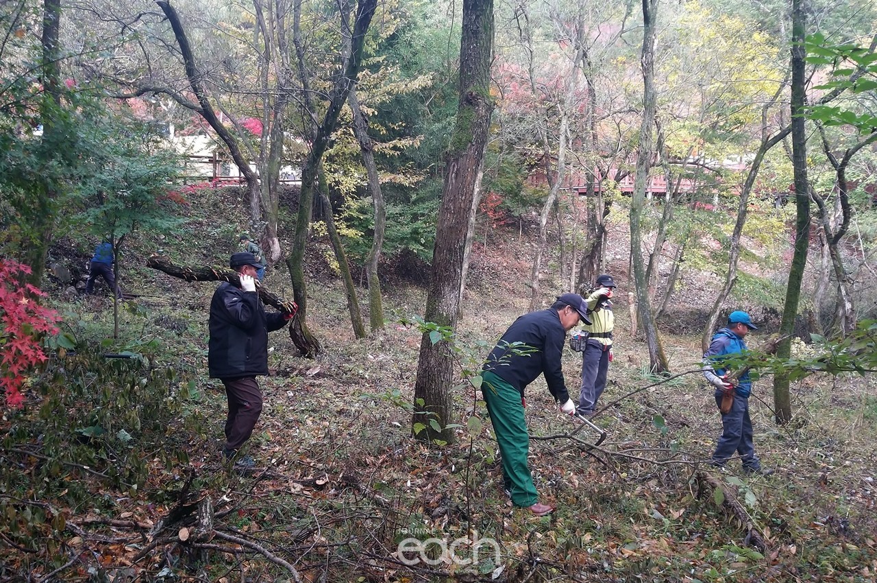 정읍시, 산림분야 녹색일자리 창출로 지역경제 활성화 도모(자료제공 : 정읍시)