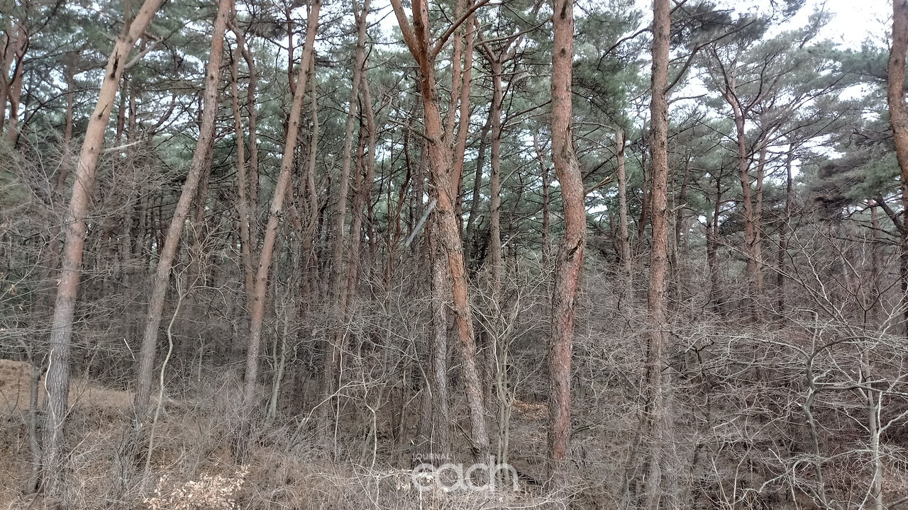 통합산림계획이미지(자료제공 : 고창군)