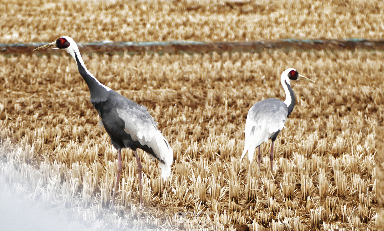 촬영 - 박미애 기자