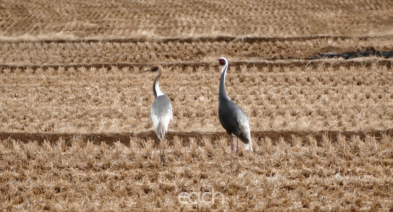 촬영 - 박미애 기자
