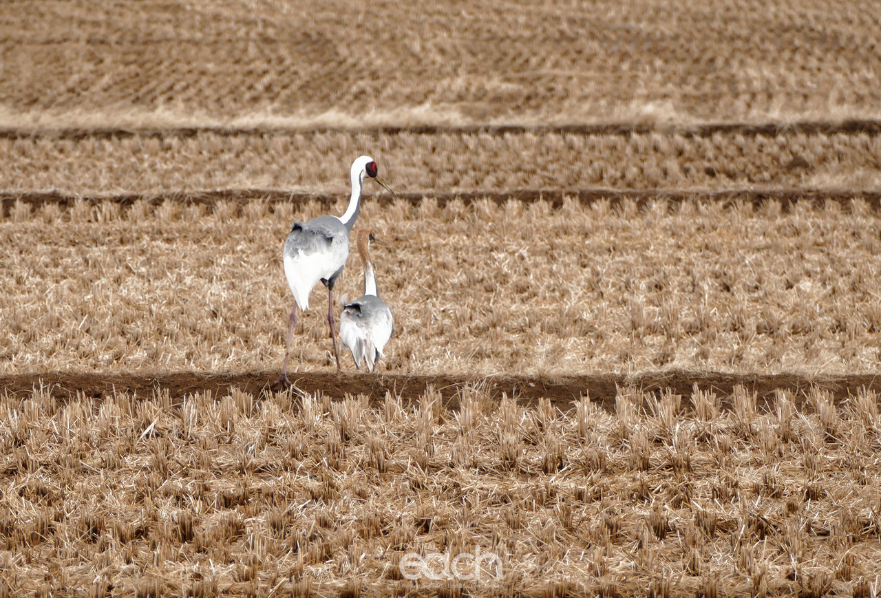 촬영 - 박미애 기자